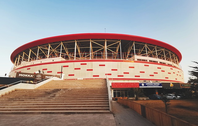 个鲜活的例 个鲜活的例