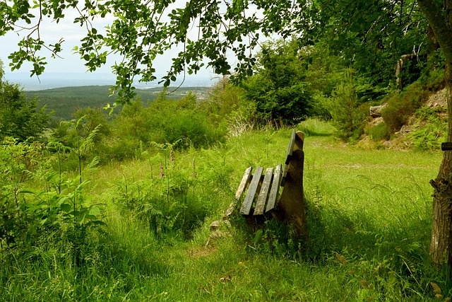 国足的历史 国足的历史