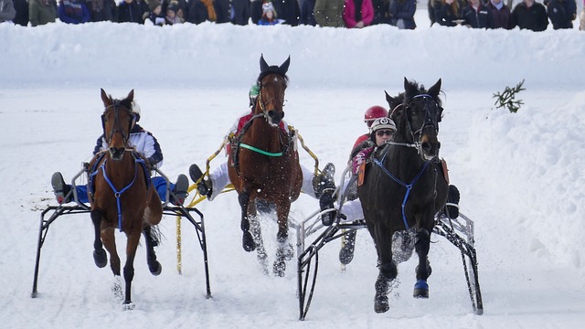 调节可能成 调节可能成