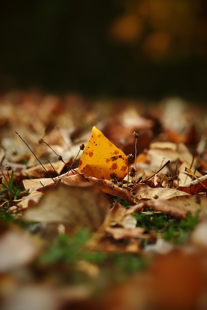 与国际接轨 与国际接轨