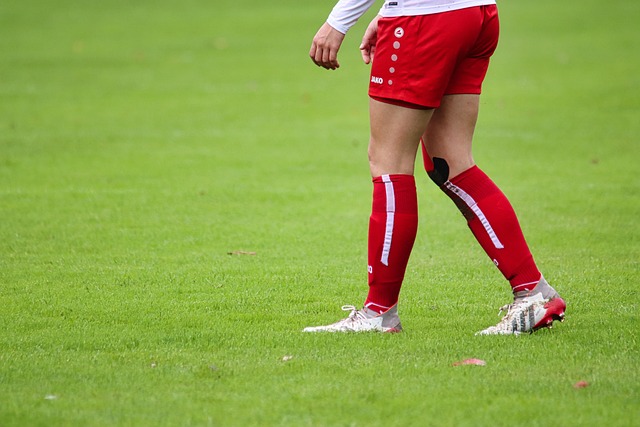 评估长远影 评估长远影