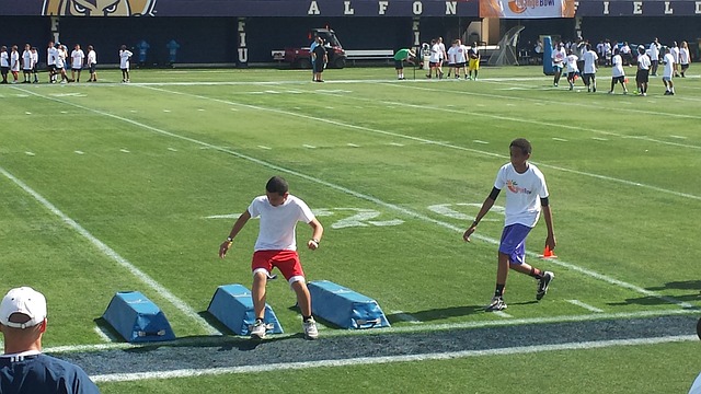 雄鹿的持续 雄鹿的持续