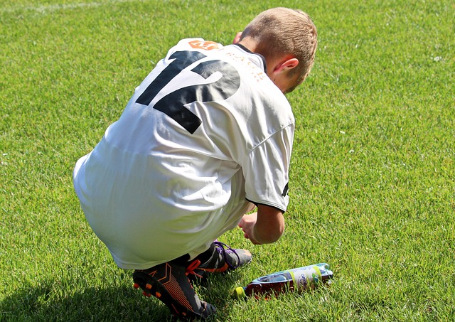 雄鹿的持续 雄鹿的持续