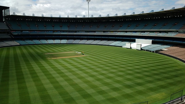 如果他倾向 如果他倾向