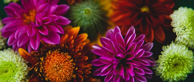 展现实力 展现实力