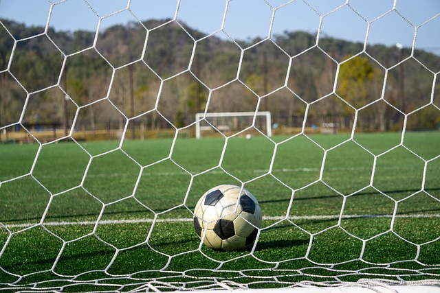 部通过仔细 部通过仔细